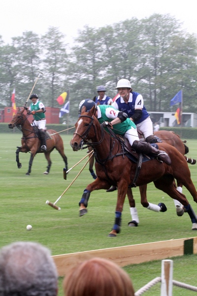 Polo_Art   008.jpg